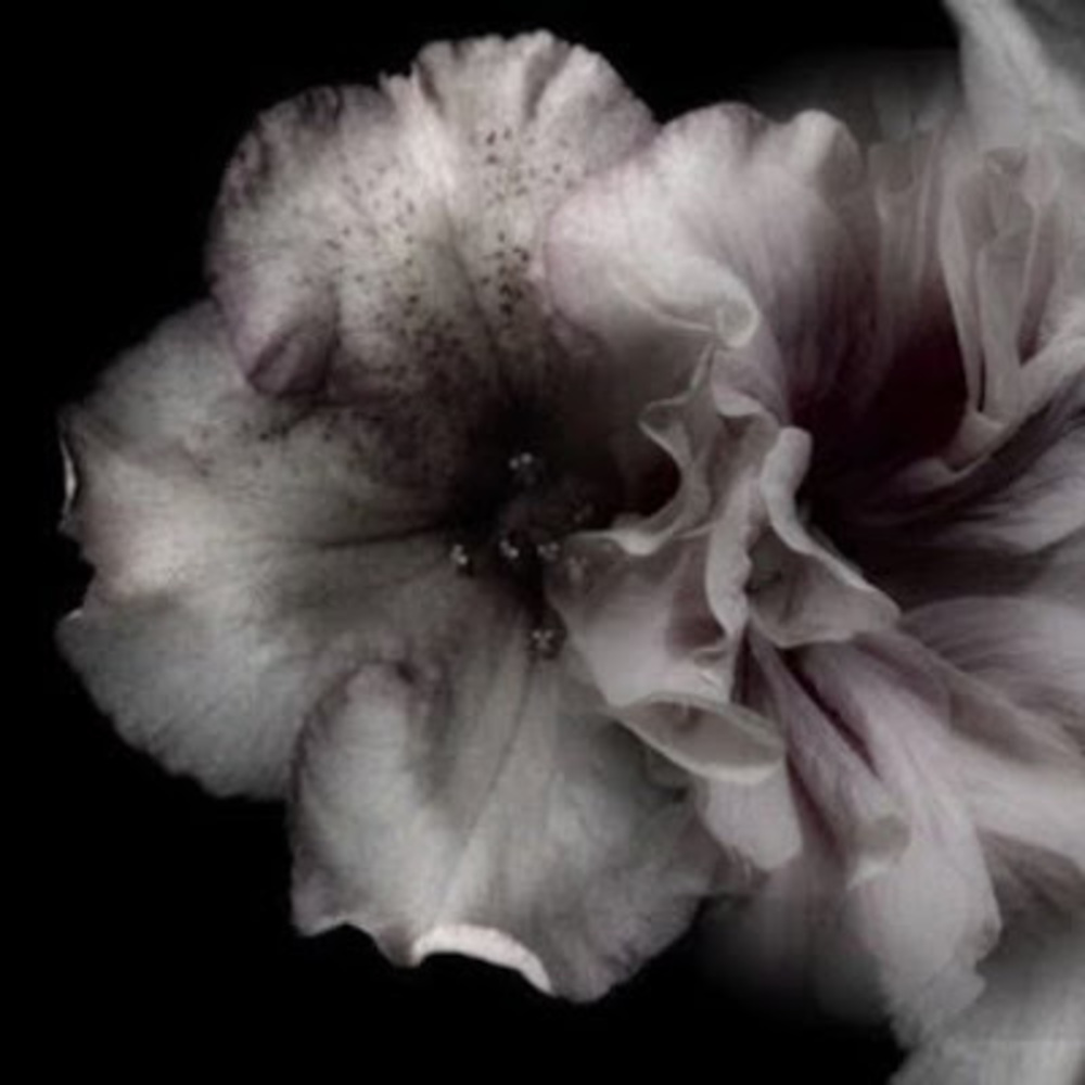 Meet your Posher, Sooni